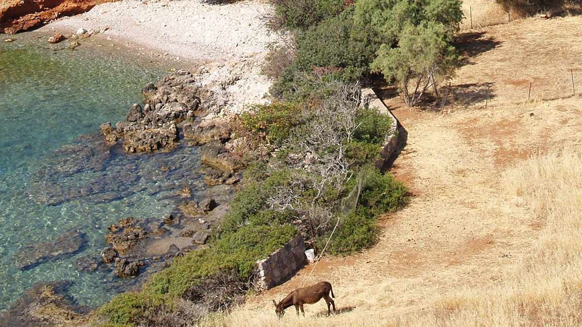 Cretan Village Hotel Apartment